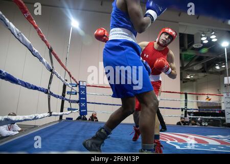 Shreveport, Louisiane, États-Unis. 31 mars 2021. Joaquin Roberson, de Tampa, FL, combat Joel Iriarte, de Bakersfield, CA, le 6 e jour des Championnats nationaux de boxe des États-Unis 2020 à Shreveport, LA. Crédit : Allyse Pulliam/ZUMA Wire/Alamy Live News Banque D'Images