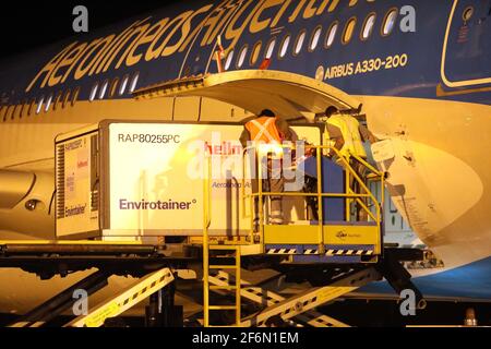 Buenos Aires, Buenos Aires, Argentine. 1er avril 2021. Aujourd'hui, 1 million de vaccins chinois Sinopharm sont arrivés à l'aéroport international d'Ezeiza à Buenos Aires sur un vol Aerolineas Argentinas. Crédit : Claudio Santisteban/ZUMA Wire/Alamy Live News Banque D'Images