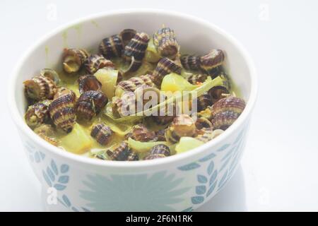 Escargots de mer plats malais traditionnels à la crème de noix de coco ou « Siput sedut Masak Lemak Cili API ». Son nom scientifique est Cerithidea obtusa, une espèce de mer Banque D'Images