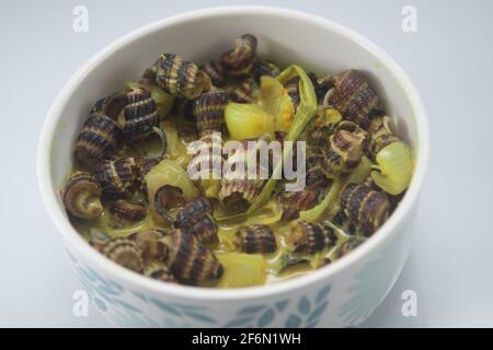 Escargots de mer plats malais traditionnels à la crème de noix de coco ou « Siput sedut Masak Lemak Cili API ». Son nom scientifique est Cerithidea obtusa, une espèce de mer Banque D'Images