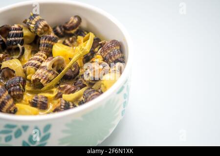 Escargots de mer plats malais traditionnels à la crème de noix de coco ou « Siput sedut Masak Lemak Cili API ». Son nom scientifique est Cerithidea obtusa, une espèce de mer Banque D'Images