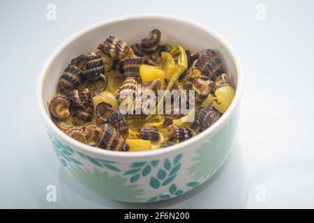 Escargots de mer plats malais traditionnels à la crème de noix de coco ou « Siput sedut Masak Lemak Cili API ». Son nom scientifique est Cerithidea obtusa, une espèce de mer Banque D'Images