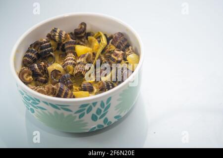 Escargots de mer plats malais traditionnels à la crème de noix de coco ou « Siput sedut Masak Lemak Cili API ». Son nom scientifique est Cerithidea obtusa, une espèce de mer Banque D'Images