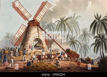 Le Mill Yard - broyage de canne à sucre dans un moulin à vent - William Clark, 1823 Banque D'Images