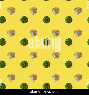 Motif sans couture de brocoli Romanesco et de chou-fleur. Légumes verts sur fond jaune Banque D'Images