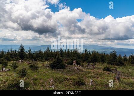 Rychlebske hory montagnes de la forêt de glade soufflet de la colline de Vozka près Nad Hasovou poste dans les montagnes jéeniky en République tchèque pendant au printemps Banque D'Images