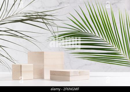 Style naturel pour l'exposition de produits cosmétiques - podiums en bois avec feuille de palmier verte, ombre au soleil sur table en bois blanc et mur en marbre gris. Banque D'Images