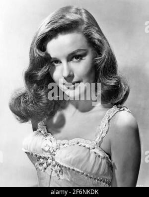 ELAINE STEWART (1930-2011) mannequin et actrice américaine vers 1954 Banque D'Images