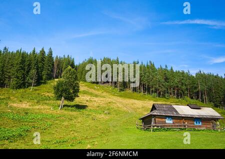 Maison de berger en bois dans une montagne. Petite cabane traditionnelle dans les montagnes carpates sur un pré vert appelé Polonyna ou pré montagnard. RU traditionnel Banque D'Images