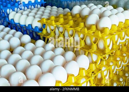 Gros plan de plateaux en plastique jaune et bleu colorés remplis d'œufs de poulet blancs, en vente dans un marché aux Philippines, en Asie Banque D'Images