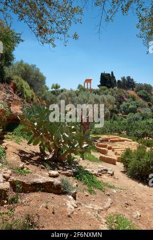 Jardins de Kolymbethra, ou Jardino della Kolymbethra. Magnifique jardin vert au coeur de la vallée des temples, Sicile, Italie. Végétation luxuriante Banque D'Images