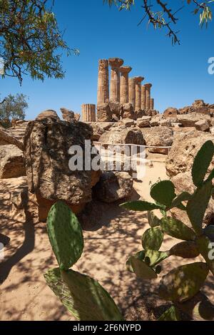 Célèbres huit colonnes du Temple des Héraccules ou Hercules, connu sous le nom de Tempio di Eracle en italien. Vallée des temples, Agrigente, Sicile, Italie. Banque D'Images