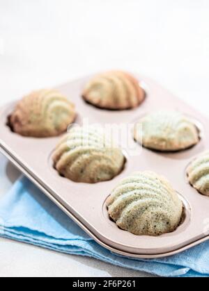 Petits gâteaux de la madeleine française fraîchement sortis du four. Petit cookie français traditionnel fait maison. Mise au point sélective Banque D'Images