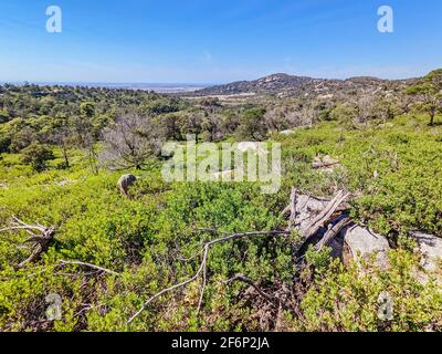 Vous Yangs Mountain Bike Park en Australie Banque D'Images