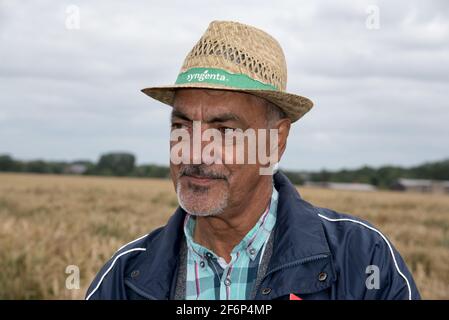 Ebrahim Kazman explique la reproduction du blé dans les parcelles à ciel ouvert de Syngenta pour sélectionner les meilleures plantes. Banque D'Images