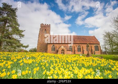 Stourbridge, Royaume-Uni. 2 avril 2021. Météo au Royaume-Uni : après un départ glacial, la plupart des Midlands voient des périodes ensoleillées et lumineuses ce matin, bien que les températures ne devraient pas atteindre beaucoup plus de 11-12 degrés Celsius lors de ce Vendredi Saint. Toujours dans le confinement de Covid-19, ces magnifiques jonquilles dorées oscillent doucement dans la brise nord-est, sans être perturbées par une congrégation de churchase visiblement absente. Crédit : lee Hudson/Alay Live News Banque D'Images