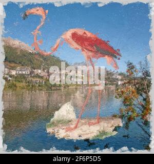 Illustration numériquement améliorée d'un flamants d'Amérique (Phoenicopterus ruber [ici comme Phoenicopterus americanus]). Le flam américain (ou des Caraïbes) Banque D'Images