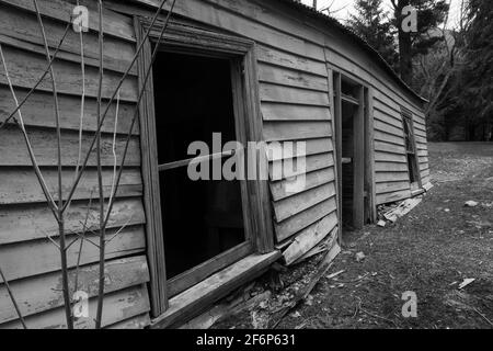 Les murs affaissés et les fenêtres vides d'une maison en bois abandonnée et abandonnée. Noir et blanc Banque D'Images