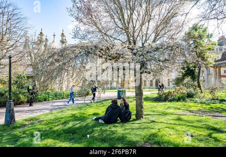 Brighton UK 2 avril 2021 - les visiteurs se détendent sous la fleur de printemps dans les jardins du Pavillon de Brighton pendant qu'ils apprécient le temps ensoleillé mais frais du vendredi et ses prévisions pour devenir beaucoup plus froid d'ici lundi avec de la neige prévue pour certaines régions du Royaume-Uni : Credit Simon Dack / Alamy Live News Banque D'Images