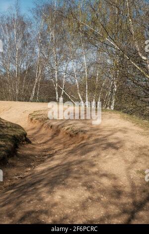 Hollow Pond, Londres, Royaume-Uni Banque D'Images