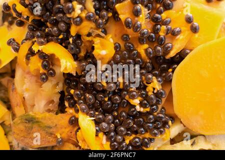 Gros plan de papaye en tranches d'orange jaune montrant des graines brillantes et vitreux. Le fruit ou le légume en vente sur un marché. Banque D'Images