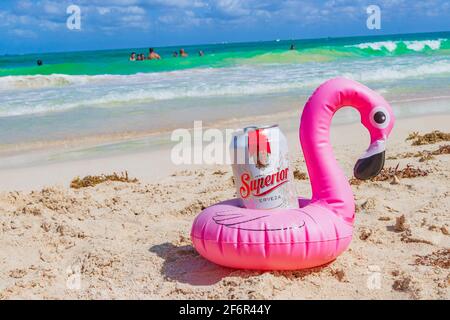 Porte-bière rose flamant avec bière supérieure sur la plage des caraïbes Playa del Carmen Mexique. Banque D'Images