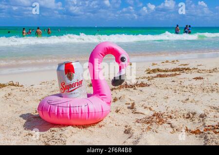 Porte-bière rose flamant avec bière supérieure sur la plage des caraïbes Playa del Carmen Mexique. Banque D'Images