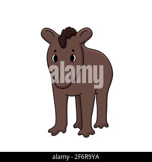 Vector brun mignon contour Doodle caricature jeune drôle américain sud pinchaque tapirus montagne sauvage équateur adulte tapir. Isolé dessiné à la main Illustration de Vecteur