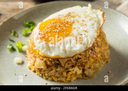 Potsticker maison riz frit avec un œuf Banque D'Images