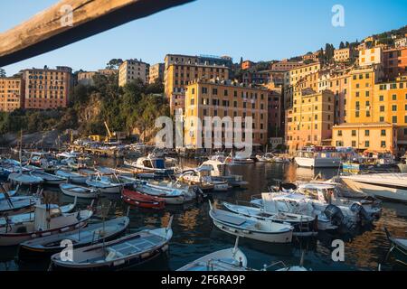 Les bateaux de plaisance se trouvent dans le port de plaisance de Camogli. Des maisons aux couleurs pastel sur la colline environnante bordent ce petit port. Banque D'Images