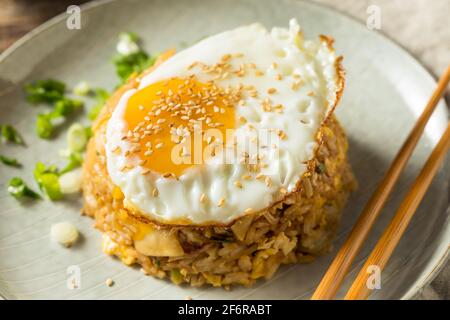 Potsticker maison riz frit avec un œuf Banque D'Images