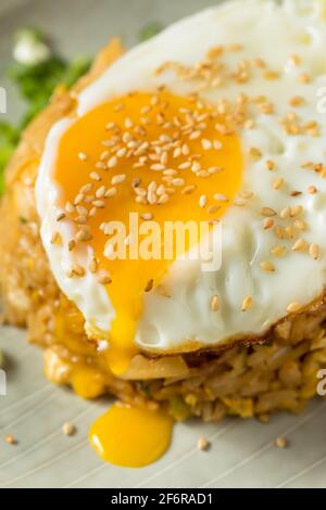 Potsticker maison riz frit avec un œuf Banque D'Images