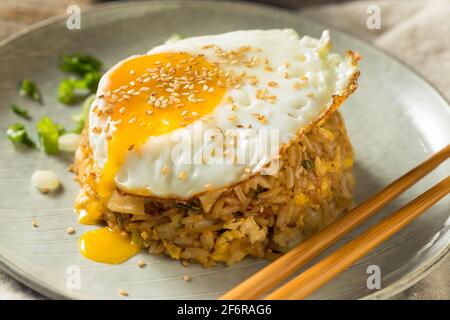 Potsticker maison riz frit avec un œuf Banque D'Images