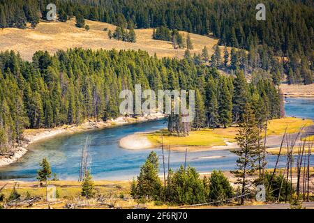 Rivière Yellowstone dans le parc national de Yellowstone. Banque D'Images