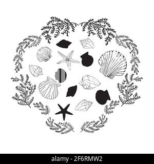Collection Shell. Ensemble vectoriel avec coquillages et étoiles de mer pour votre conception Illustration de Vecteur
