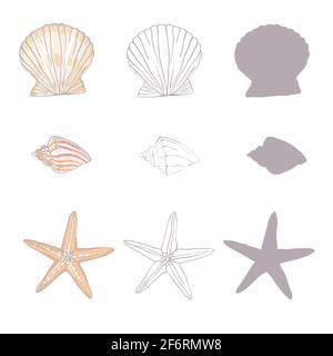 Collection Shell. Ensemble vectoriel avec coquillages et étoiles de mer pour votre conception Illustration de Vecteur
