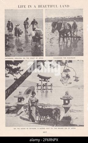 Photos anciennes en noir et blanc du Japon des années 1930. Banque D'Images