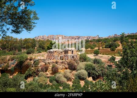 Fermes dans les jardins de Kolymbethra, ou Jardino della Kolymbethra. Magnifique jardin vert au coeur de la vallée des temples, Agrigento, Sicile Banque D'Images