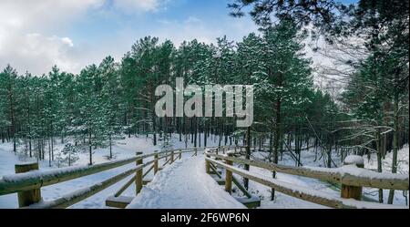 Vue sur un sentier en bois couvert de neige au milieu d'une forêt de pins près de la côte de la mer pendant la journée d'hiver ensoleillée avec ciel bleu et nuages. Promenez-vous dans la forêt de conifères Banque D'Images
