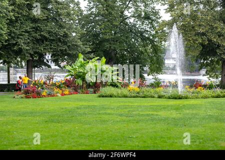 Diverses plantes et fleurs sur le jardin Stadtgarten / Stadt à Lindau, Allemagne Banque D'Images