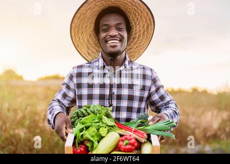 Heureux agriculteur africain travaillant dans la campagne tenant un bois boîte de légumes frais Banque D'Images