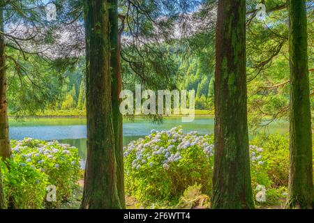 Hôtellerie du lac's Lagoon sur l'île de São Miguel, Açores, Portugal Banque D'Images