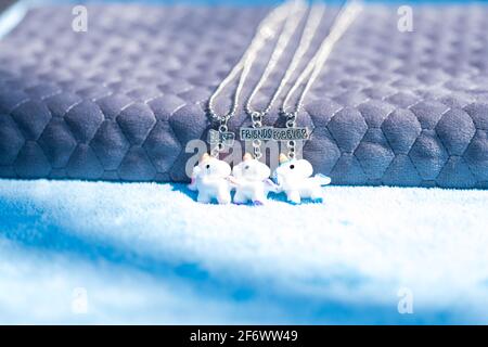 Pendentif ensemble de meilleurs amis pour toujours trois collier de licorns tirer dehors dans un jour d'été gros plan. Mise au point sélective Banque D'Images