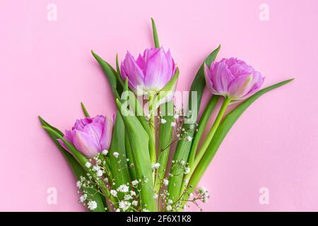 Bouquet de tulipes roses et de gitsophila, gros plan sur fond coloré. Banque D'Images