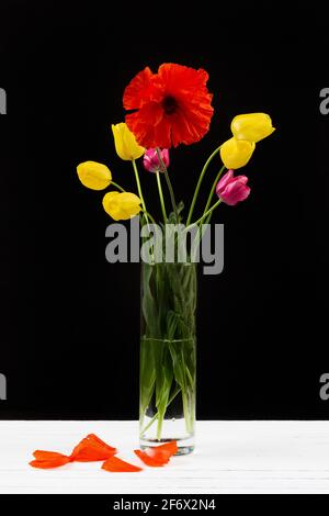 Bouquet de tulipes jaunes et violettes et de pavot dans un vase en verre sur fond noir Banque D'Images