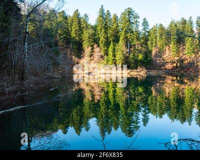 Zen sur le lac Lokve en Croatie Europe Banque D'Images