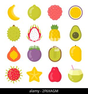 Ensemble d'icônes vectorielles colorées isolées de fruits exotiques Illustration de Vecteur