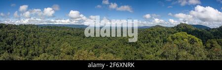 Vue panoramique depuis la promenade en forme de canopée dans le parc national d'Ulu Temburong au Brunei Darussalam Banque D'Images