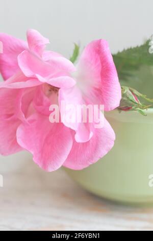 Rose sauvage avec coeur saignant fleurs dans le thé vintage durée de vie de la tasse Banque D'Images