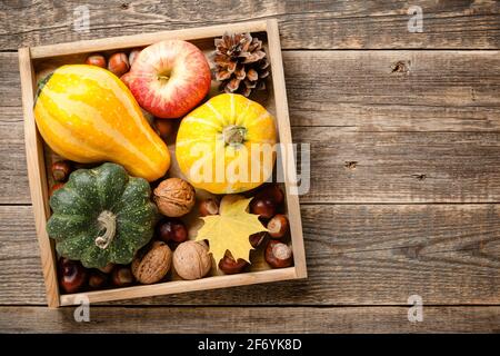 Concept d'automne. Fond de Thanksgiving Banque D'Images